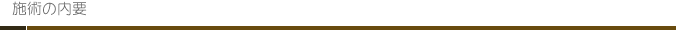 施術の内要